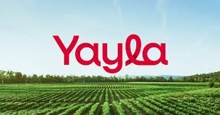 YAYLA BAKLİYAT GRUBU 